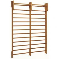 foto SPALLIERA svedese a 2 campate